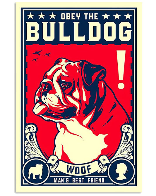 Bulldog Obey-3728