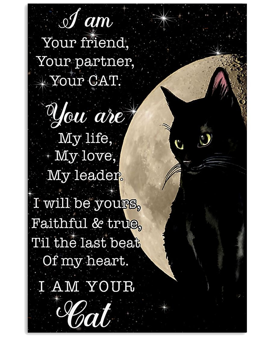 black cat friend pt lqt NTH-9983