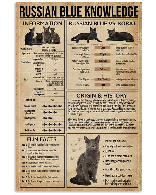 Russian Blue Cat Knowledge-3705