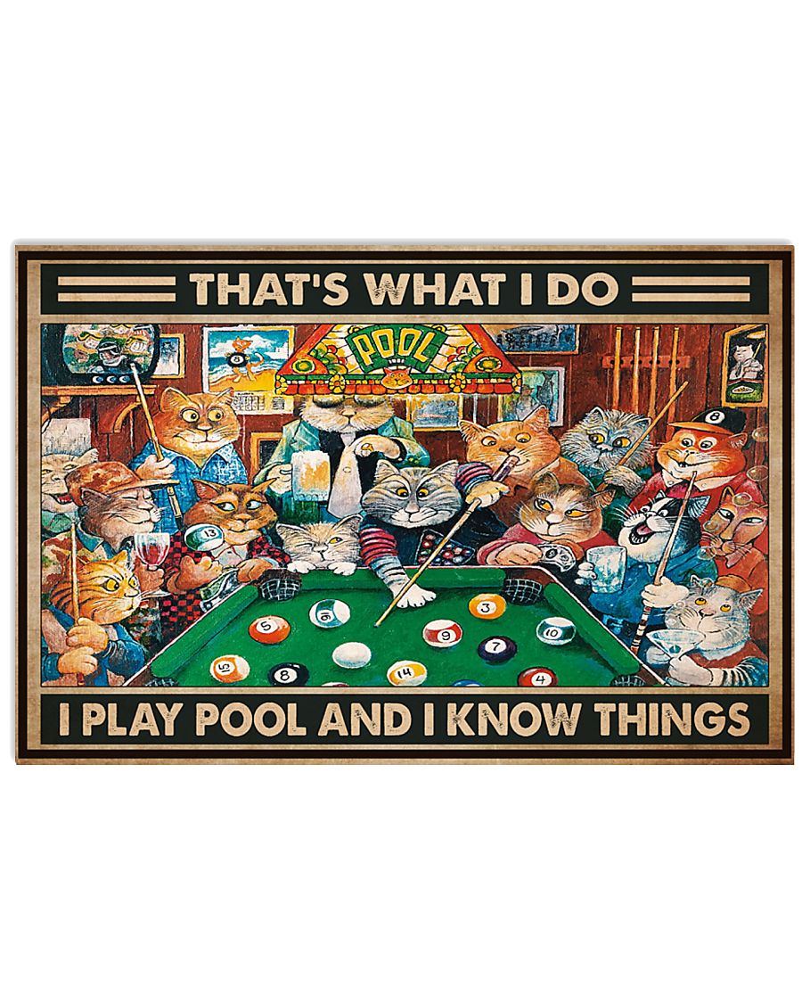 Cat play pool and know things pt dvhh NTH-3294