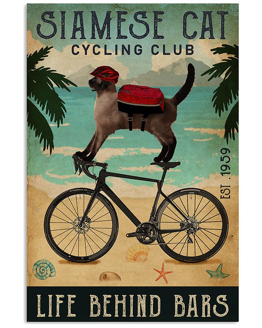 Cycling Club Siamese cat-3767