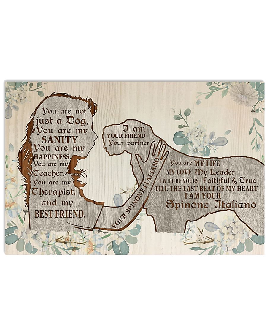 Spinone Italiano I Am Your Friend-5535