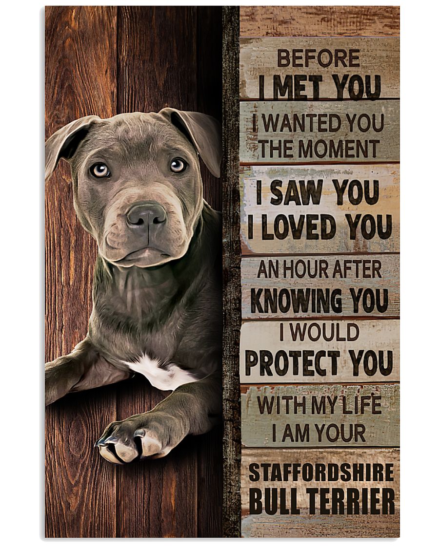 Blue Staffy Before I Met You-7225