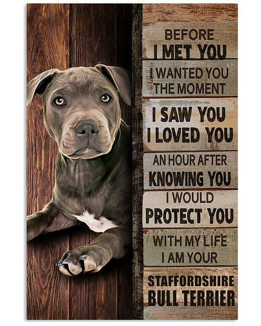 Blue Staffy Before I Met You-7225