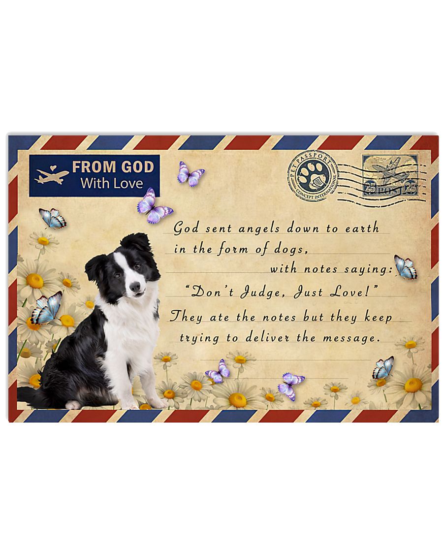 Border Collie God Sent Angels-9134