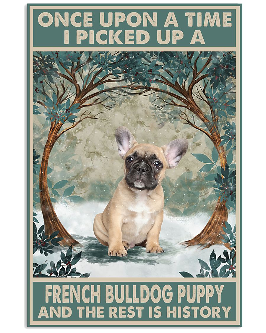 French Bulldog Puppy Once Upon A Time-4451