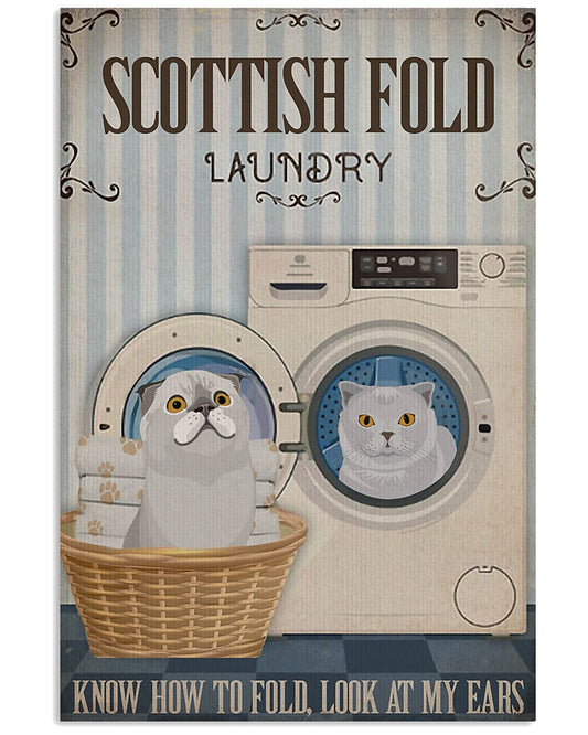 Scottish Fold Cat And Laundry-7342