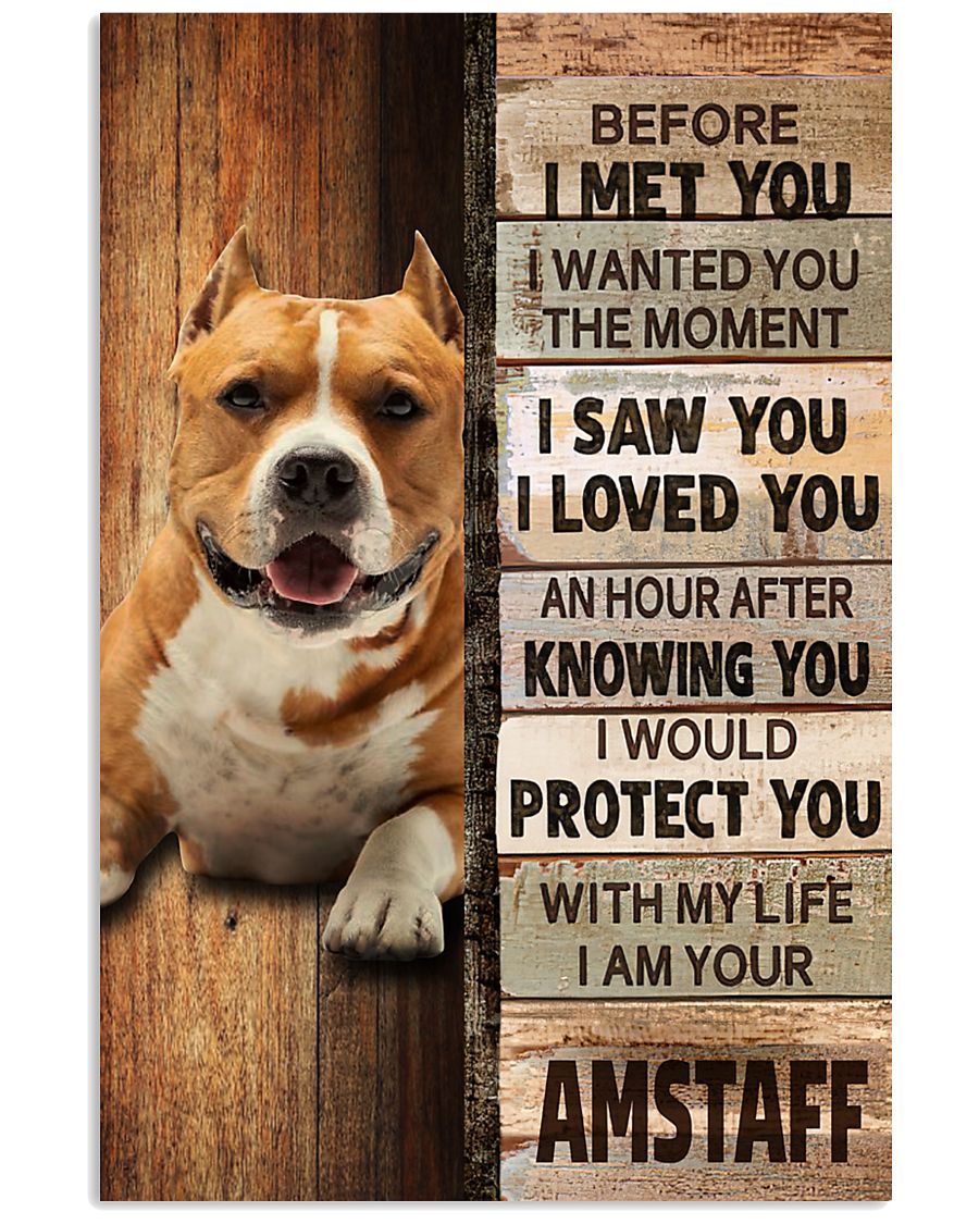 American Staffordshire Terrier Before I Met You -5818