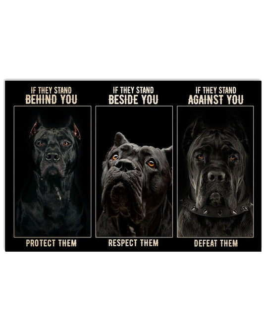 Cane Corso If They Stand -7419