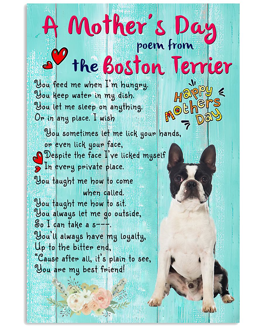 Boston My Best Friend-3971