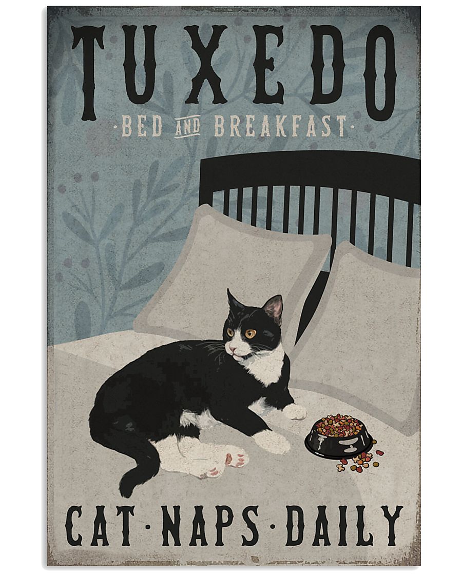 Tuxedo Cat Bed And Breakfast-6437