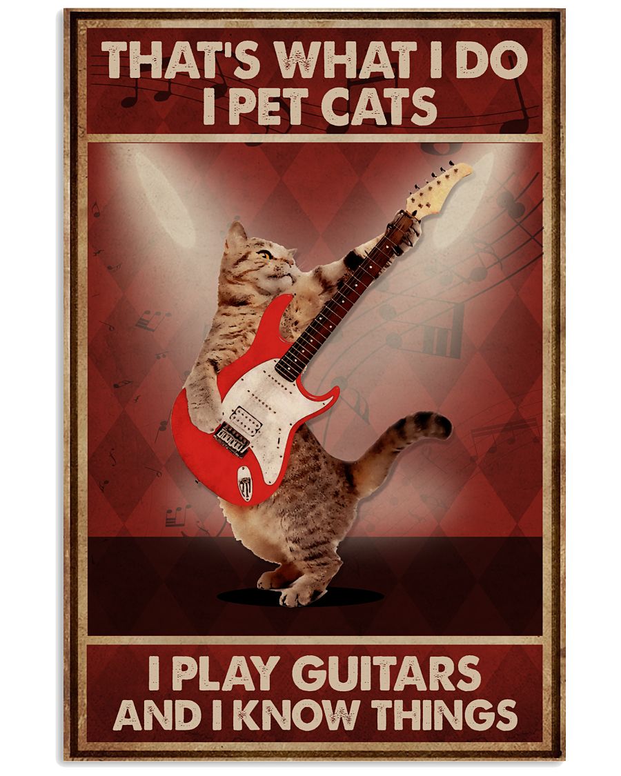 Guitar I Pet Cat I Play-2989