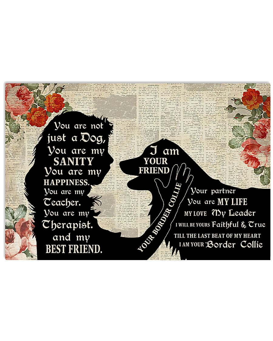 Border Collie I Am Your Friend-6800