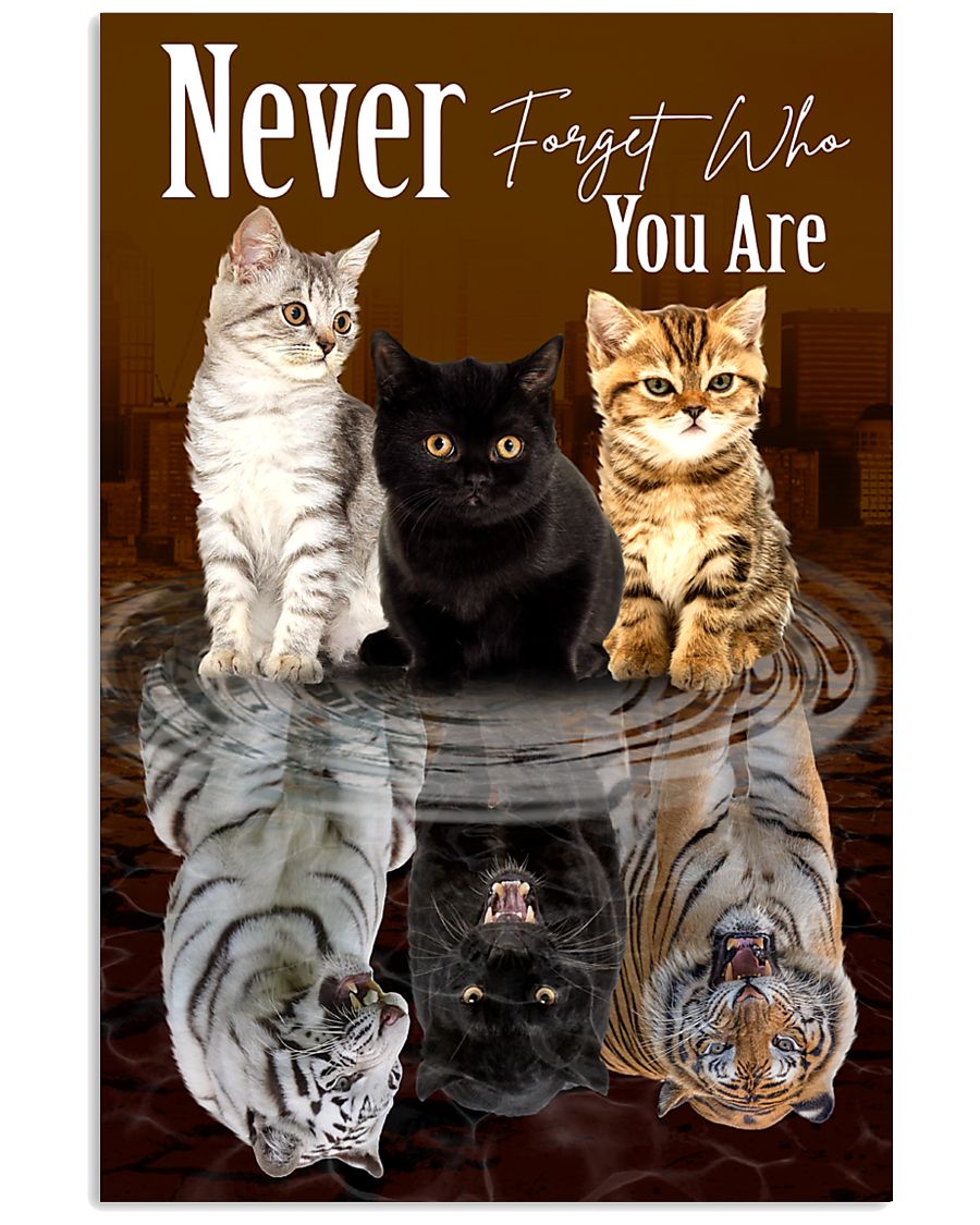 cat-reflect-never-forget-poster-7393