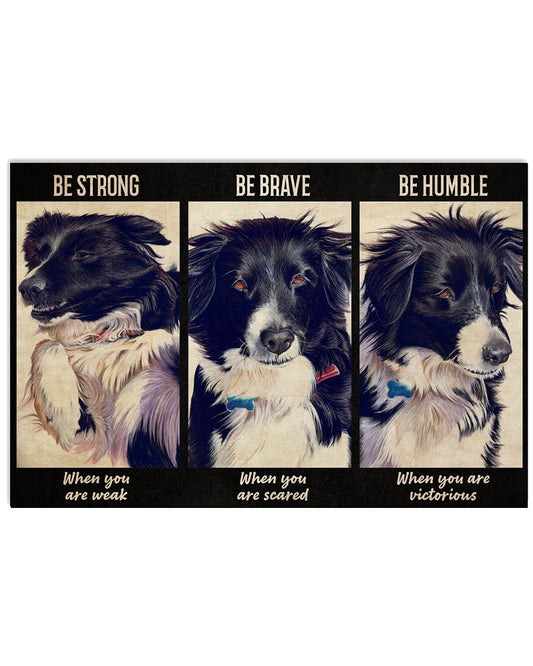 Border Collie Be Strong -5952