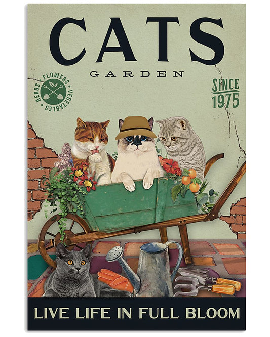 Cats Garden-5443