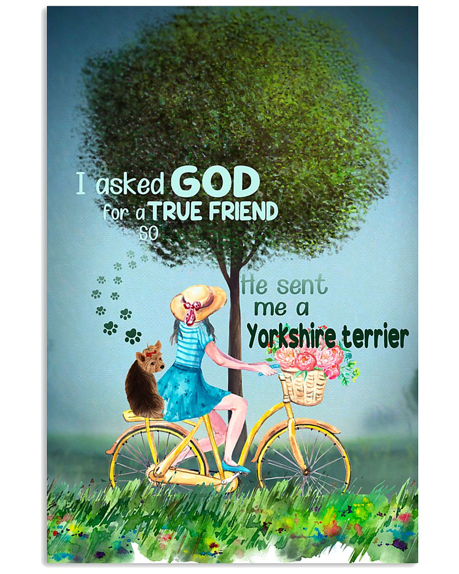 yorkie true friend-6671