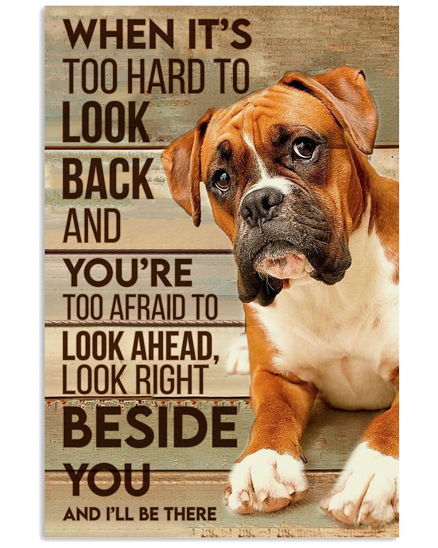 Boxer Hard To Look Back-1442