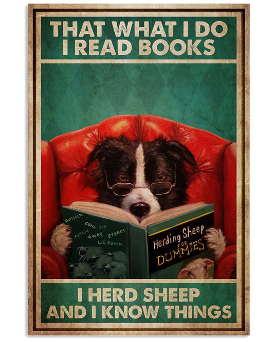 Border Collie Read Books Know Things -9015