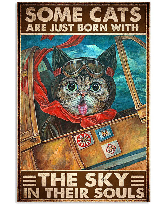 cats pilot born sky soul pt phq ngt-5629