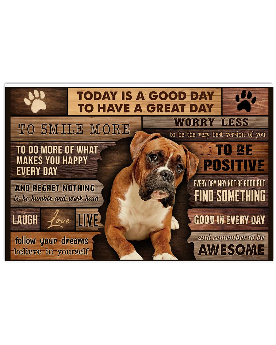 Boxer Good Day-4098