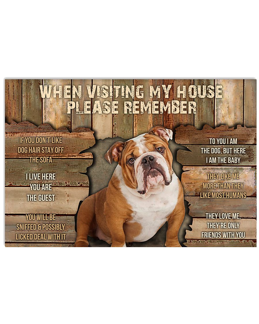 Bulldog When Visiting -6954