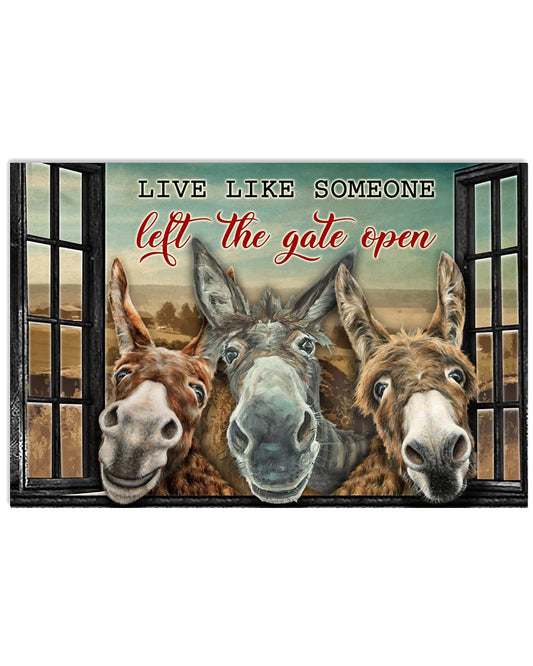 Donkey Live Like Someone-2227