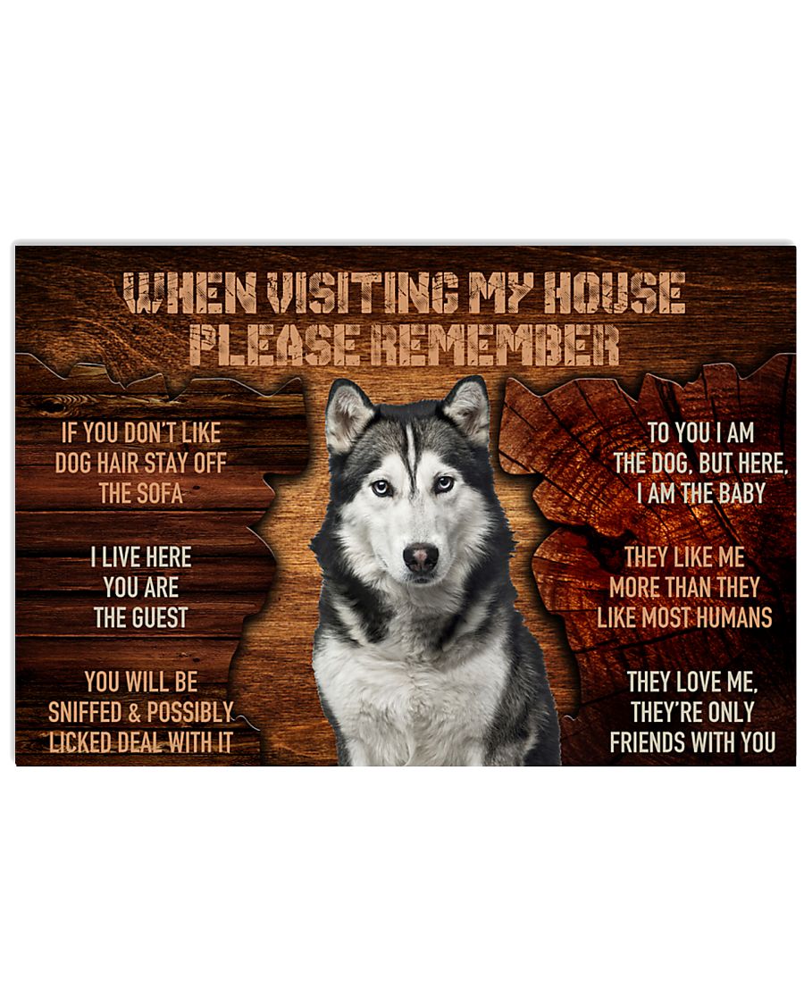 husky visiting my house-3488