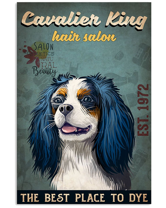 Cavalier King-3707