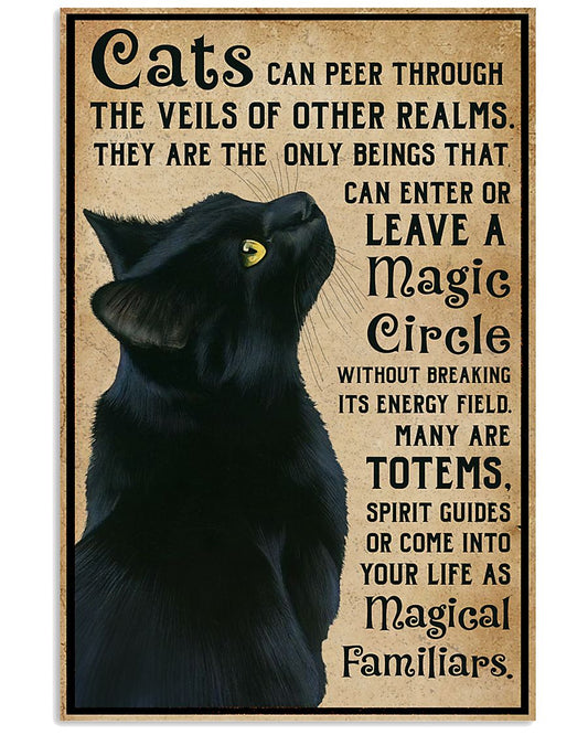 Magical Familiars Black Cat-4909