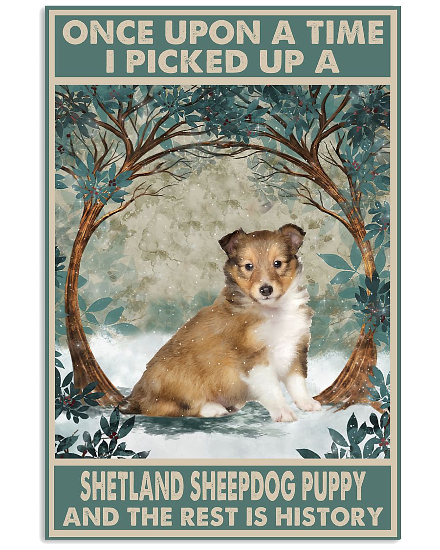 Shetland Sheepdog Puppy Once Upon A Time-6033