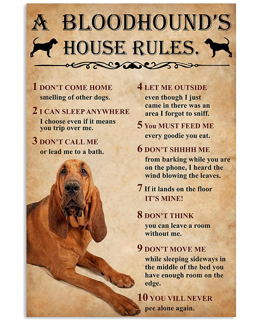 Bloodhound's House Rules-9930