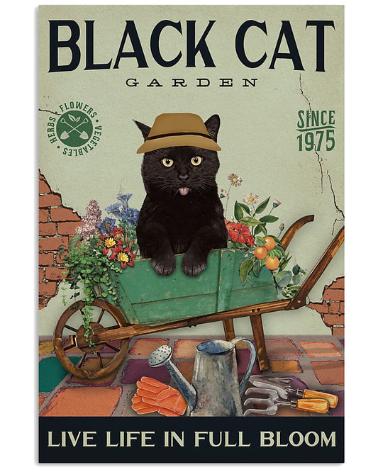 Black Cat Garden -7218