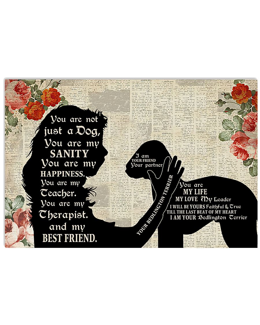 Bedlington Terrier I Am Your Friend-8821