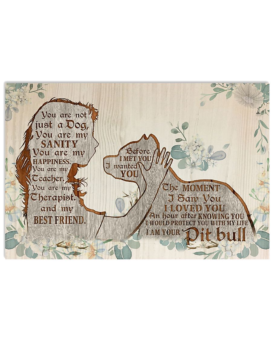 Pit bull Before I Met You-2743