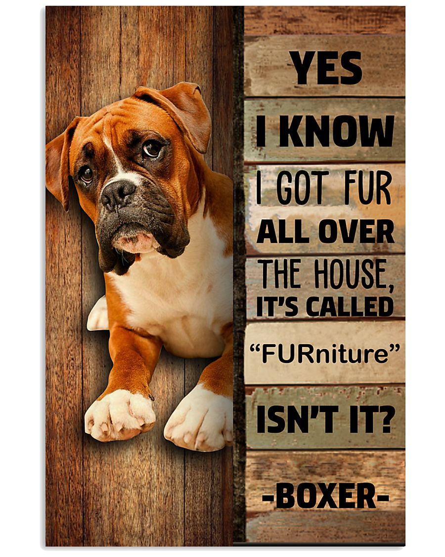 Boxer Furrniture -3448