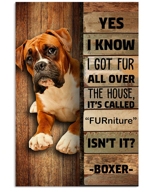 Boxer Furrniture -3448