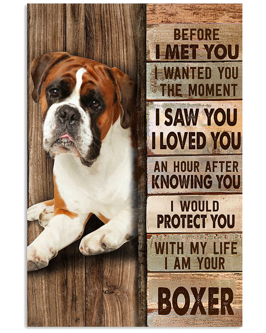 Boxer Before I Met You -7624