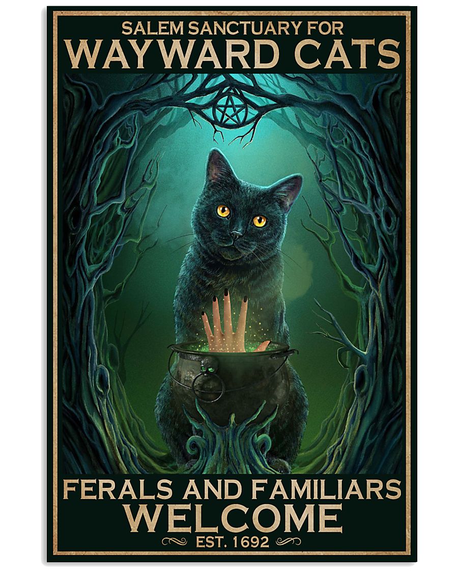 Salem Sanctuary Wayward Black Cat-1256