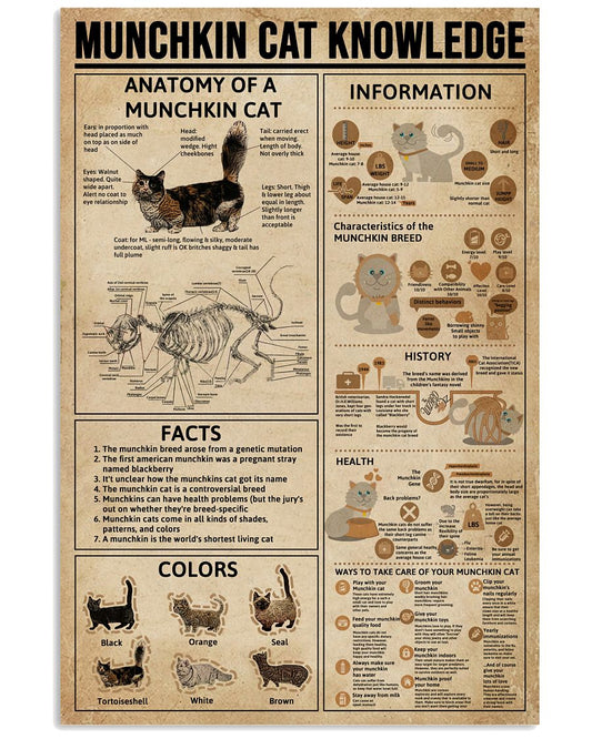 Munchkin Cat Knowledge-3922