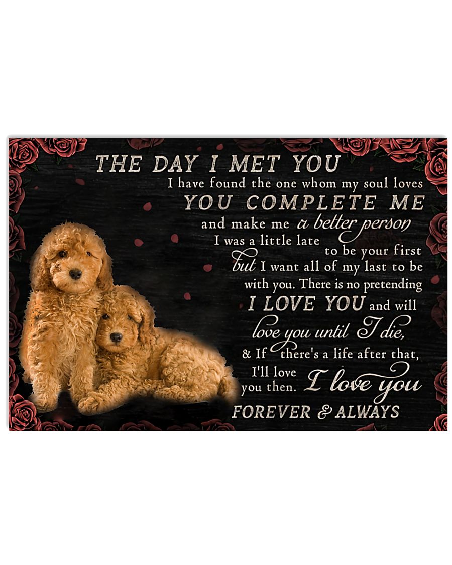 poodle the day i met-8846