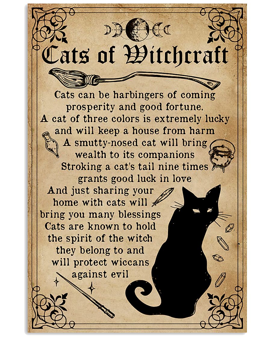 Cats Of Witchcraft-8021