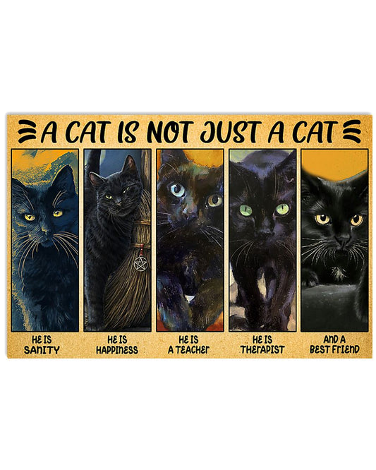 black cat not just a cat pt lqt ngt-6385