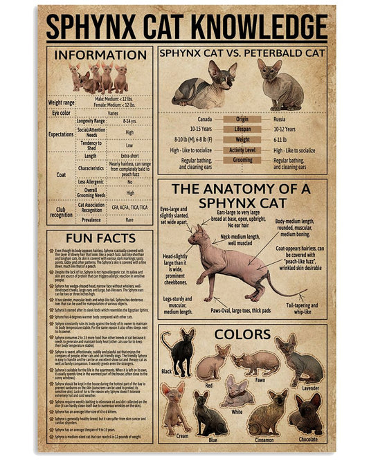 Sphynx Cat Knowledge-1366