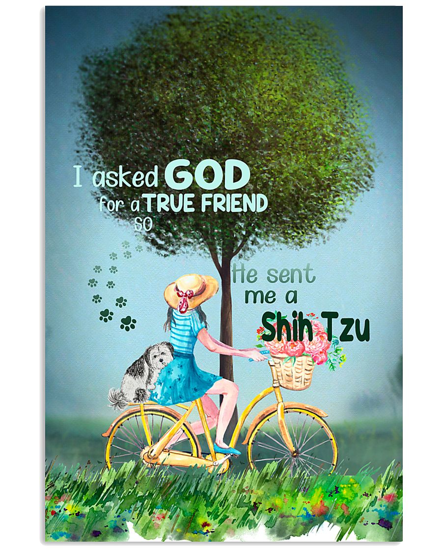 shih tzu true friend-9328