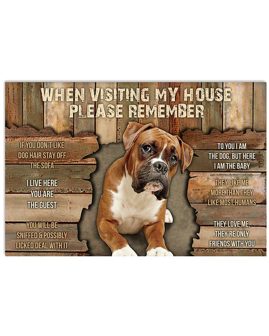 Boxer When Visiting -3592