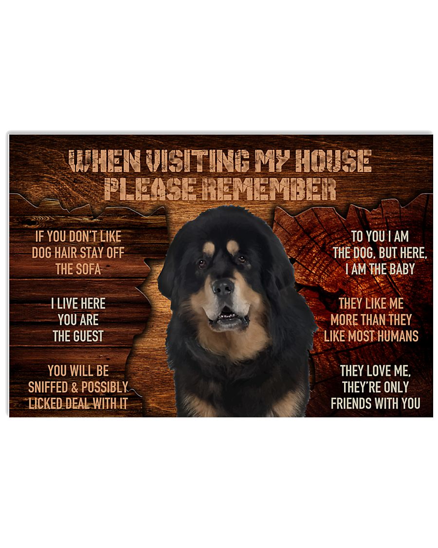 Black and Tan Tibetan mastiff visiting my house-8532