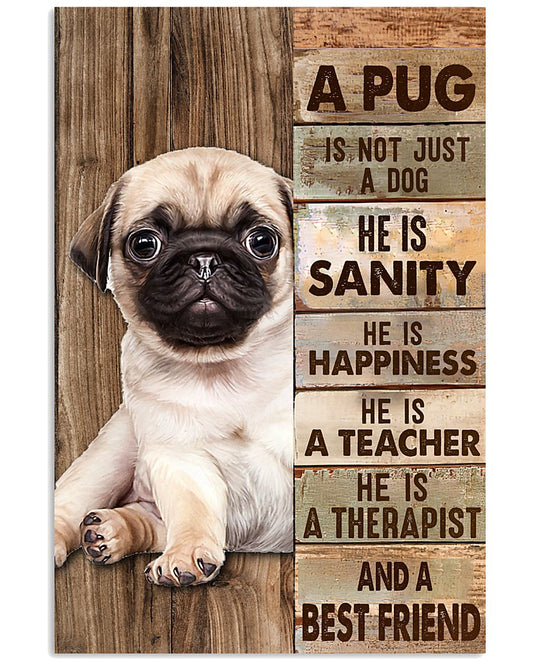 A Pug Is Not Just A Dog-4516