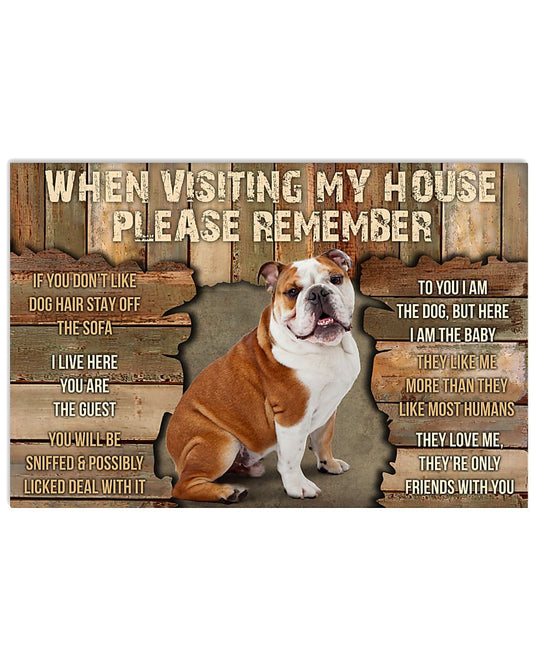 Bulldog Visiting My House -1687