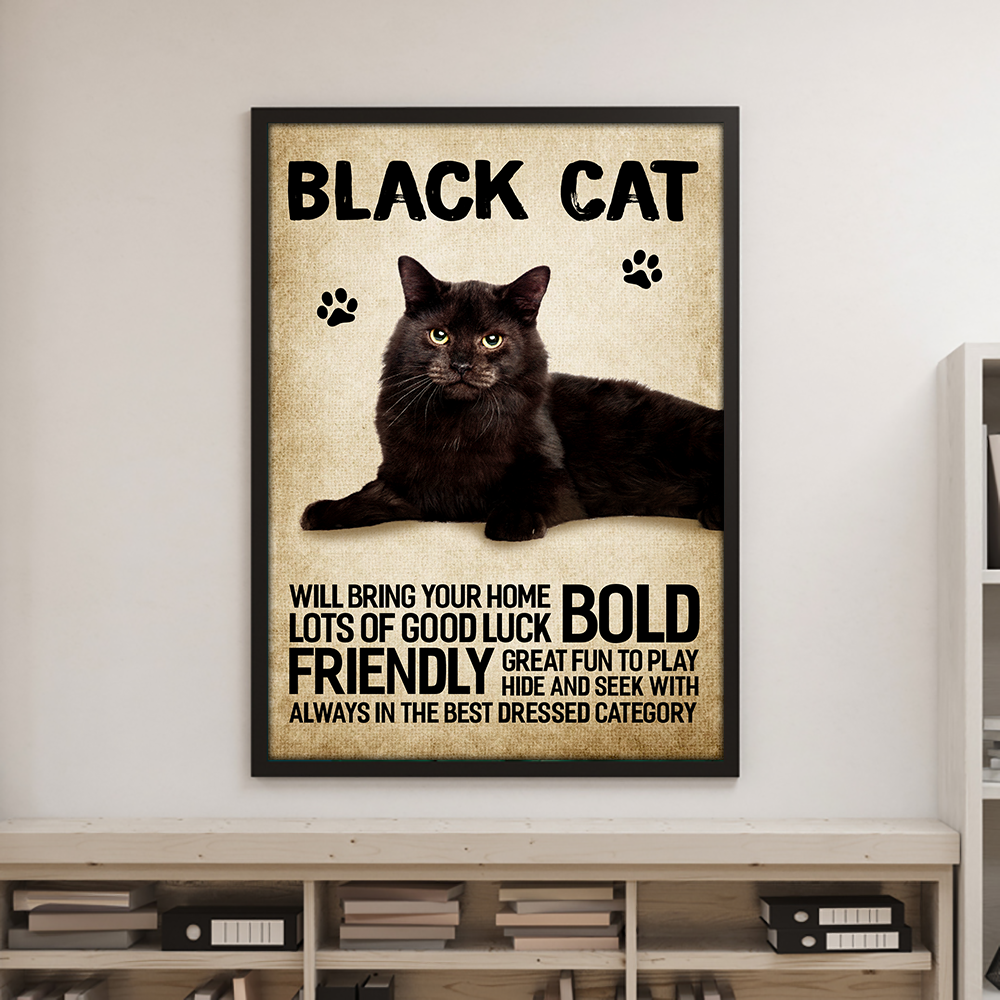 Black Cat Will Bring Your Home Bold